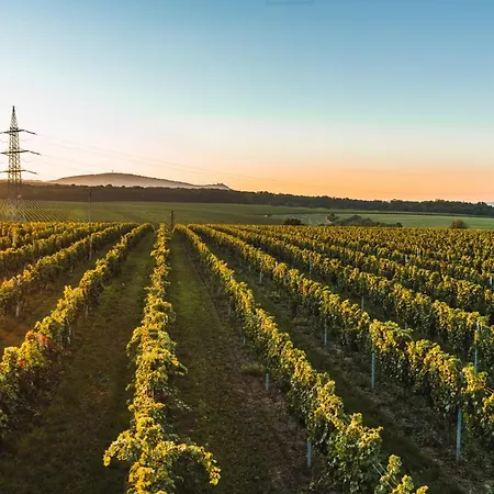 Διαμέρισμα Pulgary Bulhary